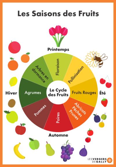 On Vous Explique Les Saisons Des Fruits