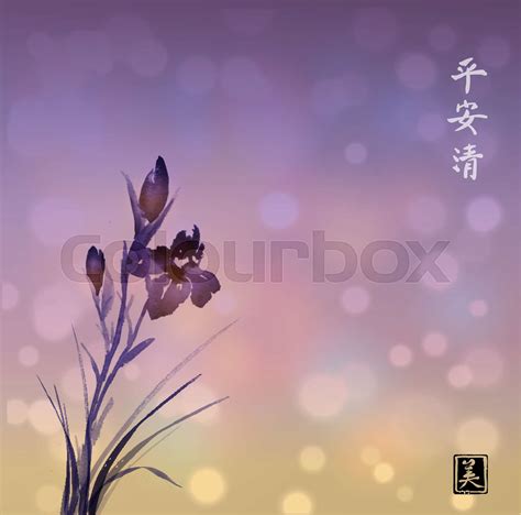 Iris Blomst Japansk Stock Vektor Colourbox