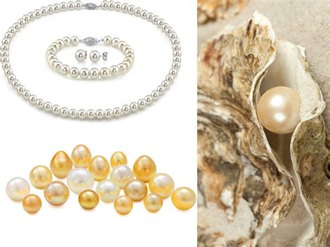 What is Pearl and How it Forms?- Real Pearl Types in India | Styles At Life