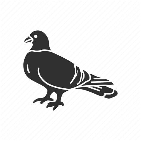 Animal Bird Feather Homing Pigeon Pigeon Wings Icon