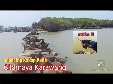 Mancing Kakap Putih Pinggiran Laut Cilamaya Karawang Ada Cintanya