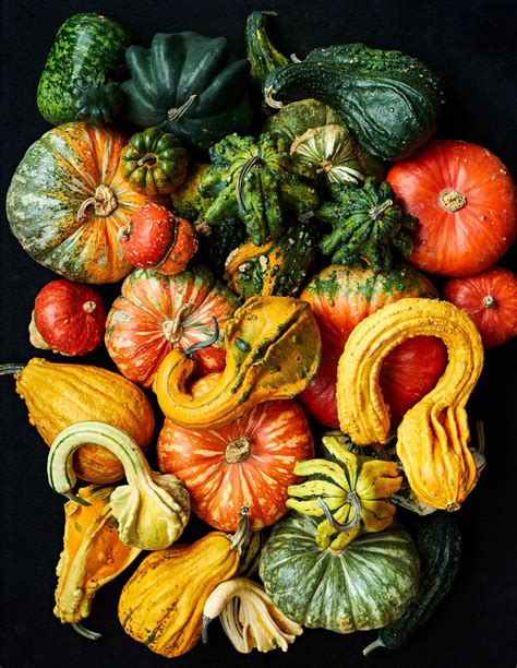 The 10 Best Types of Gourds to Grow for Decor, Crafts, and More