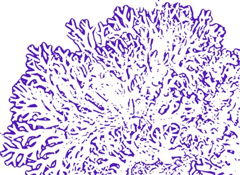 Dark Purple Coral Reef Clip Art At Vector Clip Art Online