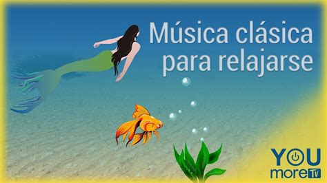 Musica Clásica Para Relajarse Youtube