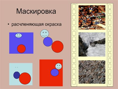 Маскировка животных