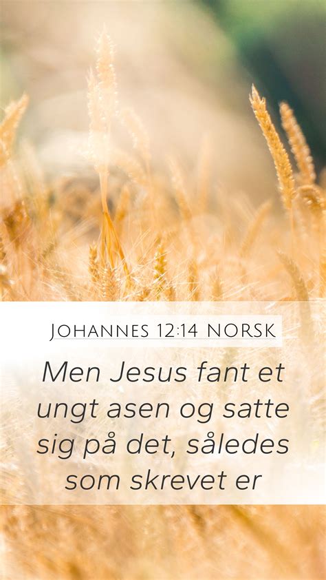 Johannes 12 14 NORSK Mobile Phone Wallpaper Men Jesus Fant Et Ungt