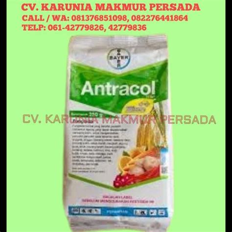 Jual ANTRACOL 70 WP Fungisida Efektif Untuk Melindungi Tanaman