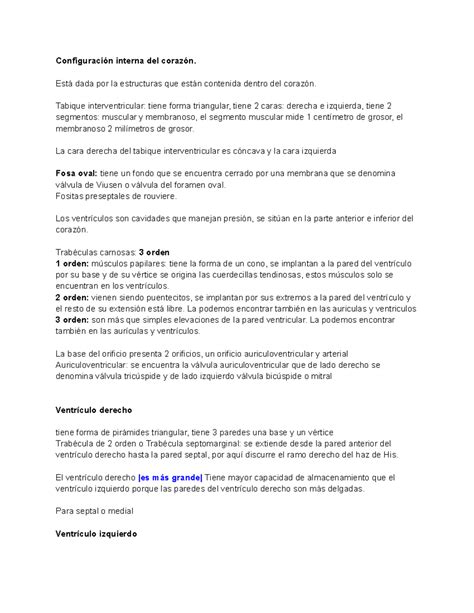 Anatomia Del Corazon