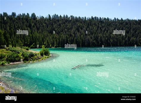 Cliff Lake Montana Stock Photo Royalty Free Image 51076886 Alamy