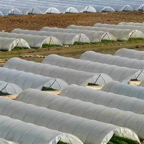 Polythene Sheeting Polytunnels LBS Horticulture