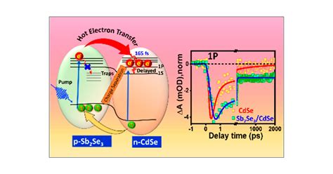Efficient Hot Electron Transfer And Extended Separation Of Charge Carriers At The P Hot State