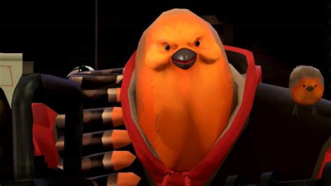 Meet The Pootis Bird Youtube