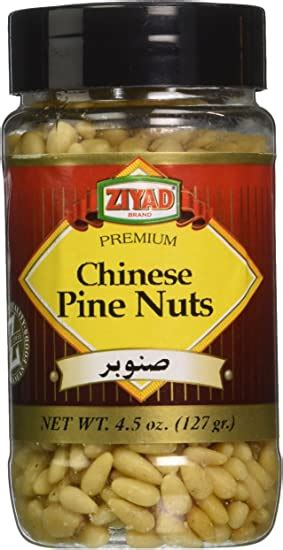 Ziyad Chinese Pine Nuts Mirchimasalay