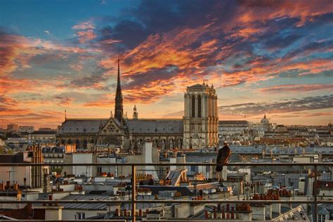 The Best Of Medieval Paris Walking Tour Triphobo