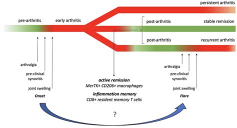 Frontiers Insights Into The Concept Of Rheumatoid Arthritis Flare