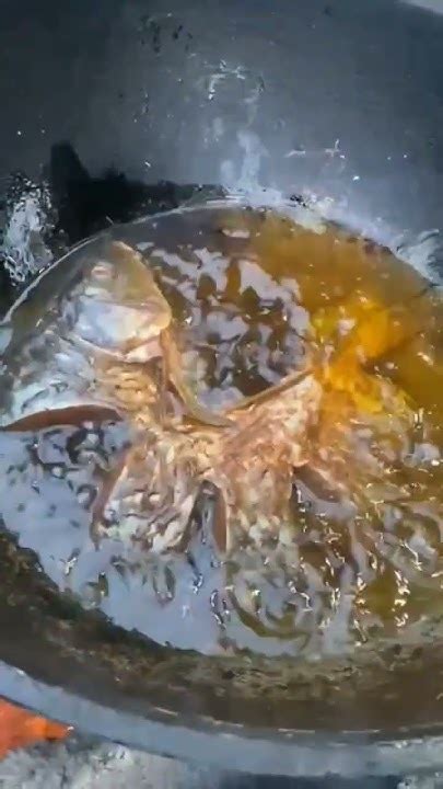 жаренный сазан на мангале и в казане#шашлык из рыбы##ужин как в ...