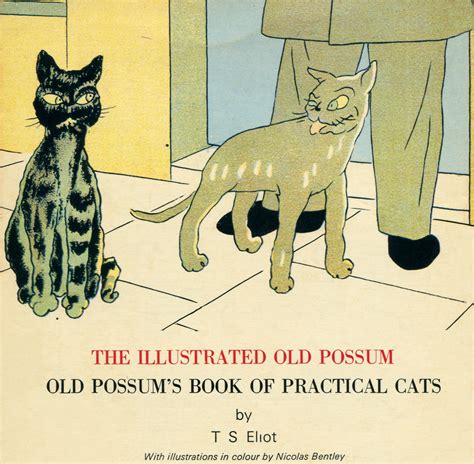 The Illustrated Old Possum By T S Eliot