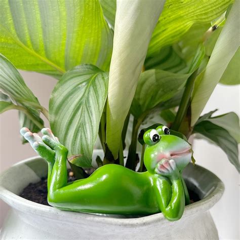 Amazon JARPSIRY Cute Climbing Frog Figurines Flower Pot Hugger