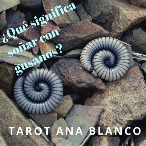 Tarot Ana Blanco Qu Significa So Ar Con Gusanos