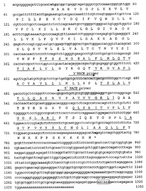 Nucleotide Sequence Of The Pig MPDU1 CDNA And Predicted Amino Acid