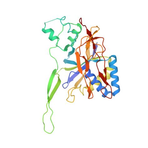 RCSB PDB 6MUS Cryo EM Structure Of Larger Csm CrRNA Target RNA