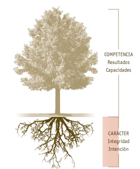 Cómo valoras tu credibilidad Los 4 núcleos de la credibilidad