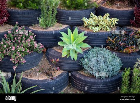 Garden with old tires used as flower pots Stock Photo - Alamy