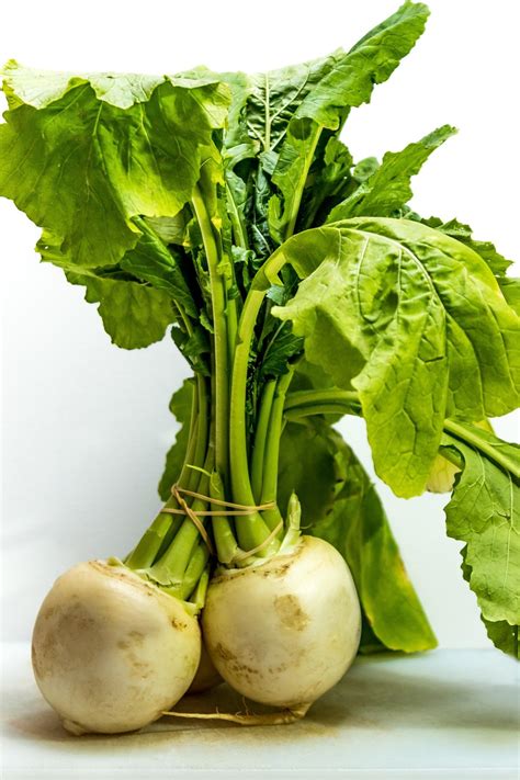 200 Free Turnip And Vegetables Images Pixabay