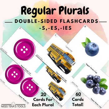 Regular Plurals Double Sided Flashcards S Es Ies With REAL PICTURES