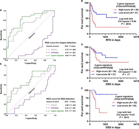 ROC Curve And KM Curve Analysis Of The Prognostic Value Of The 2gene