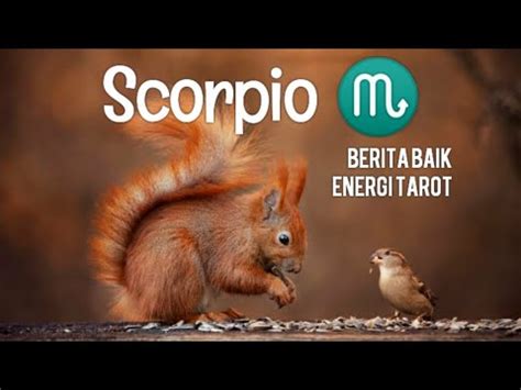 Scorpio Oktober Berita Baik Di Tengah Bulan Energi Tarot