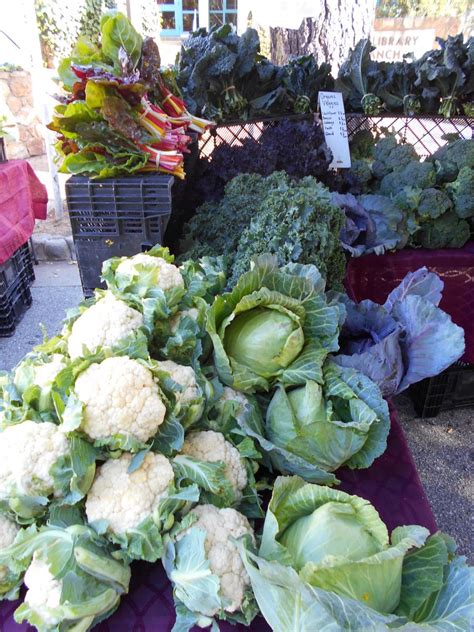 Farmers Market City Of Carmel