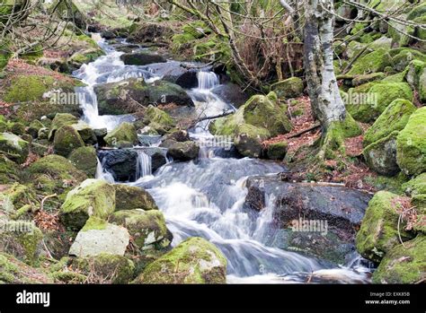 Wicklow mountain waterfalls hi-res stock photography and images - Alamy