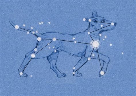 The Canine Astrological Forecast For The Year Ahead Image Canis