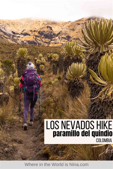 Trekking In Los Nevados National Park 3 Day Paramillo Del Quindio