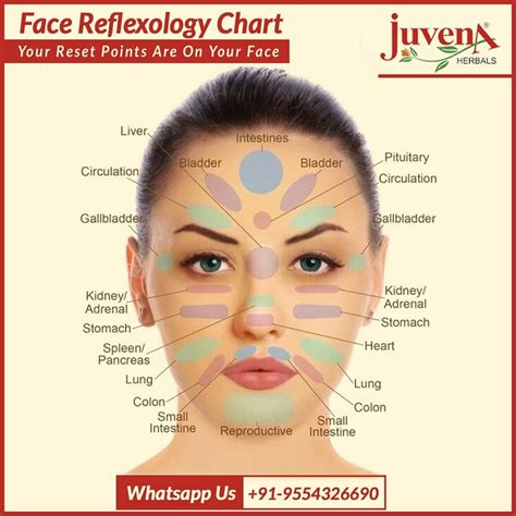 Face Reflexology