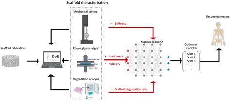 Bioengineering Free Full Text The Role Of Machine Learning And