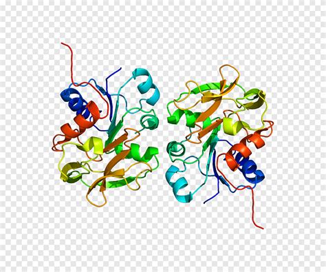 GMP Synthase Guanosine Monophosphate Protein Data Bank Protein