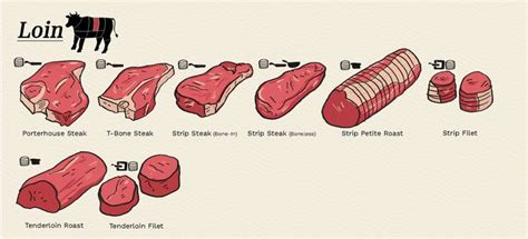 Pin on Meat cuts chart