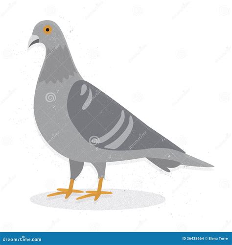 Pigeon Cartoons, Illustrations & Vector Stock Images - 53737 Pictures ...