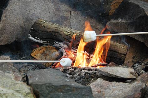 Smores Campfire Stock Photos Pictures And Royalty Free Images Istock