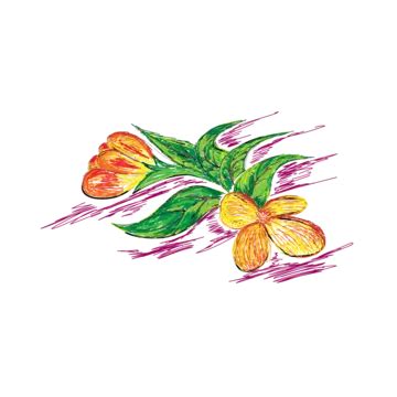 Ilustraciones Vectoriales Florales PNG Dibujos Floral Florero Flor