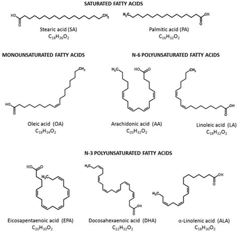 Classification of long-chain fatty acids. | Download Scientific Diagram