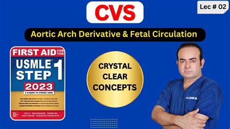 Cvs Aortic Arch Derivative And Fetal Circulation First Aid Usmle Step