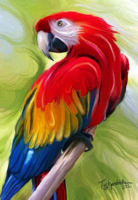 Image Result For Paintings Of Parrots Parrot Painting Parrots Art