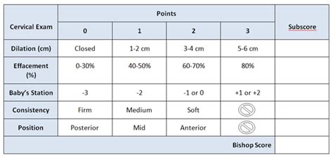 B Is For Bishop Score — Calming Waters Birth Services