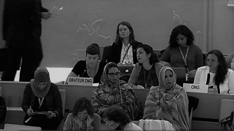 Heres What Happened At The 36th Un Human Rights Council Sexual