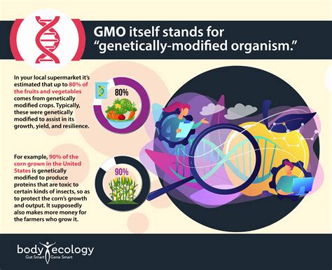 Infographic Gmo