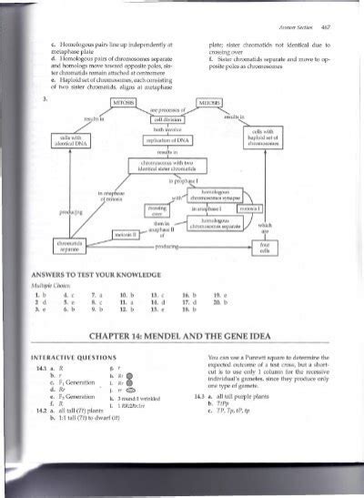 CHAPTER 14 MENDEL AND THE GENE IDEA