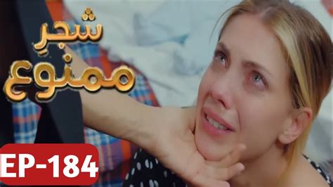 Shajar E Mamnu Episode Promo Turkish Drama Forbidden Fruit